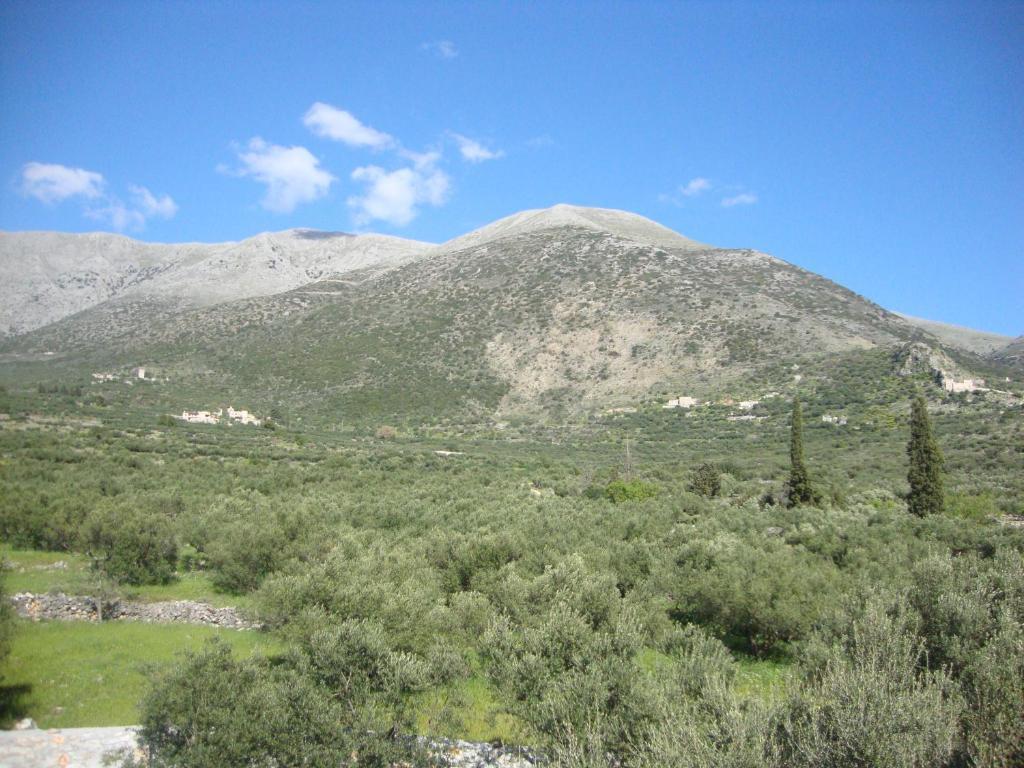 Kafiona Guesthouse Pyrgos Dirou Luaran gambar